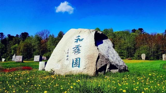 白球进黑洞选关版